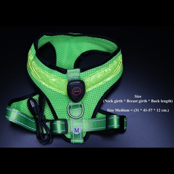 LED dog Harness rechargeable with USB - Picture 4 of 5